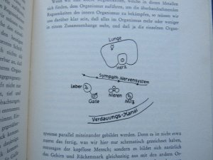 antiquarisches Buch – Rudolf Steiner: – Eine okkulte Physiologie: Ein Zyklus von 8 Vorträgen gehalten in Prag vom 20. März 1911