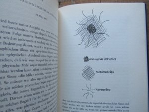 antiquarisches Buch – Rudolf Steiner: – Eine okkulte Physiologie: Ein Zyklus von 8 Vorträgen gehalten in Prag vom 20. März 1911