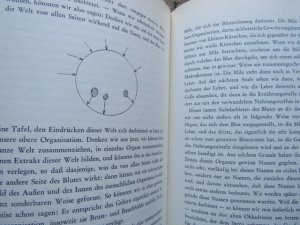 antiquarisches Buch – Rudolf Steiner: – Eine okkulte Physiologie: Ein Zyklus von 8 Vorträgen gehalten in Prag vom 20. März 1911