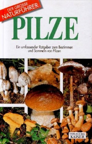 gebrauchtes Buch – Bielli, Ettore; Maggiora – Pilze. Ein umfassender Ratgeber zum Bestimmen und Sammeln von Pilzen