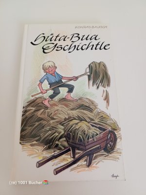 gebrauchtes Buch – Konrad Bausch – Hüta-Bua-Gschichtle