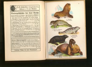 antiquarisches Buch – J. F. Schreiber – Schreiber's kleine Atlanten der Säugetiere, Heft 2