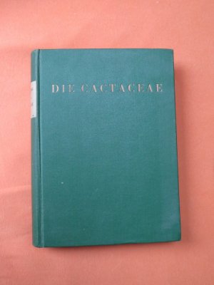 Die Cactaceae Band IV