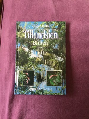 Tillandsien