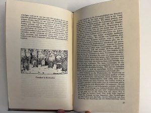 antiquarisches Buch – Gustav Cohn – Der jüdische Friedhof, Seine geschichtliche und kulturgeschichtliche Entwicklung. Mit besonderer Berücksichtigung der ästhetischen Gestaltung