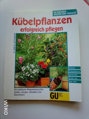 Kübelpflanzen erfolgreich pflegen