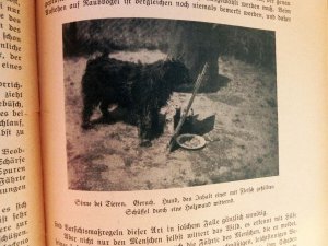 antiquarisches Buch – Verschiedene – Welt und Wissen 12 1927 Ärztliche Verschreibung von Kokain,Beethoven,Studenten