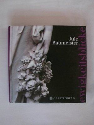 gebrauchtes Buch – Jule Baumeister – Ewigkeitsblicke.