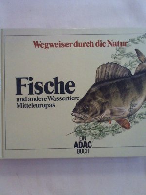 gebrauchtes Buch – unbekannt – Fische und andere Wassertiere Mitteleuropas.