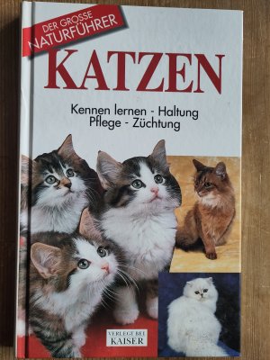 gebrauchtes Buch – Capra, Alexa; Robotti – Katzen