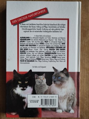 gebrauchtes Buch – Capra, Alexa; Robotti – Katzen