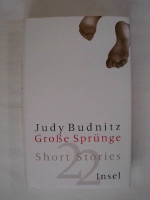 gebrauchtes Buch – Judy Budnitz – Große Sprünge: Short Stories.