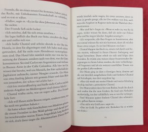 gebrauchtes Buch – Paulo Coelho – Der Dämon und Fräulein Prym