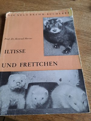 antiquarisches Buch – Konrad Herter – Iltisse und Frettchen.