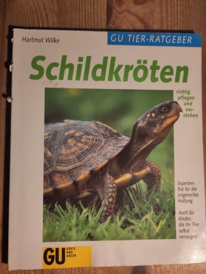 Schildkröten richtig pflegen und verstehen