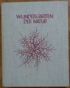 Wundergarten der Natur : Neue Bilddokumente schöner Pflanzenformen. Urformen der Kunst. Neue Folge