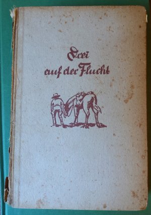 antiquarisches Buch – paul ritter – drei auf der flucht