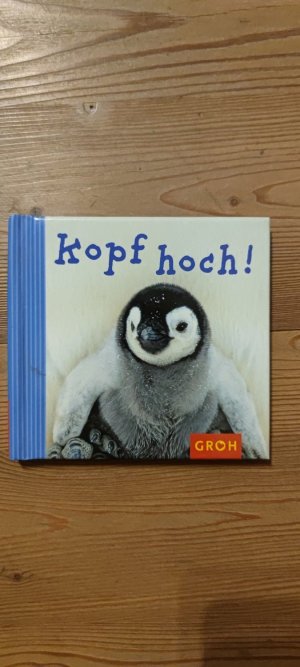 Kopf hoch!