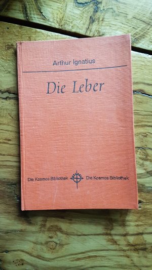 Die Leber