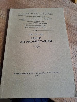 Liber XII Prophetarum.