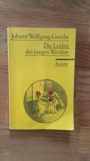 gebrauchtes Buch – Goethe, Johann Wolfgang – Die Leiden des jungen Werther - Textausgabe mit Nachwort