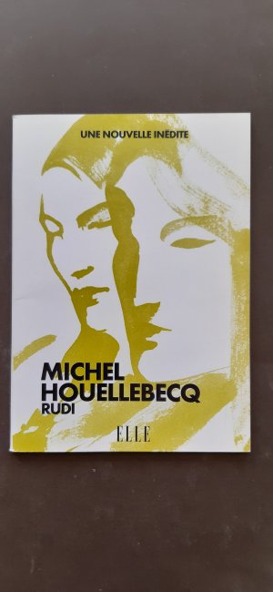 gebrauchtes Buch – Michel Houellebecq – Rudi. Une nouvelle inédite.