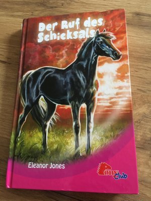 gebrauchtes Buch – Eleanor Jones – Der Ruf des Schicksals.