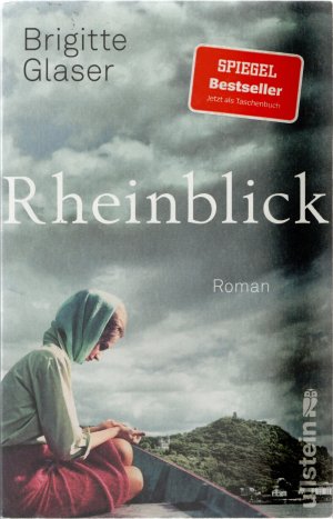 gebrauchtes Buch – Brigitte Glaser – Rheinblick