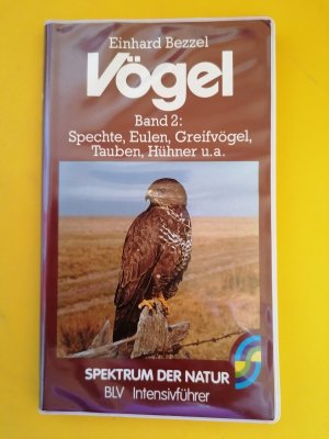 Vögel  2    -    Spechte - Eulen - Greifvögel - Tauben - Hühner - u. a.