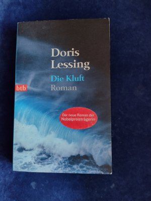 gebrauchtes Buch – Doris Lessing – Die Kluft