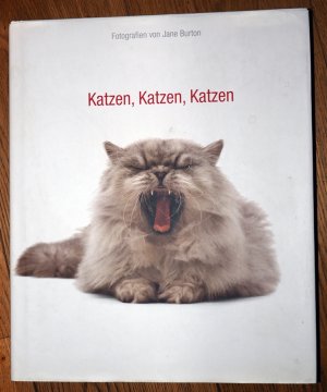 gebrauchtes Buch – Jane Burton – Katzen, Katzen, Katzen