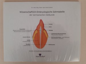 Wissenschaftlich-Embryologische Zahntabelle der Germanischen Heilkunde