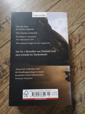 gebrauchtes Buch – Charlotte Link – Das andere Kind