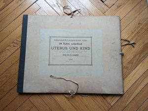 Uterus und Kind - von der ersten Woche der Schwangerschaft bis zum Beginn der Geburt und der Aufbau der Placenta. Geburtshülflich-anatomischer Atlas.