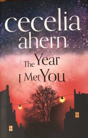 The Year I Met You