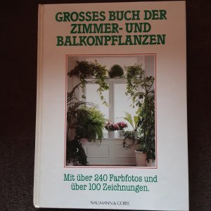 gebrauchtes Buch – Kein – Grosses Buch der Zimmer- und Balkonpflanzen