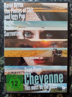 Cheyenne - This Must Be the Place FRANCES MCDORMAND Sean Penn