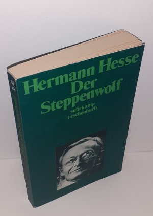 gebrauchtes Buch – Hermann Hesse – Der Steppenwolf