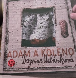 gebrauchtes Buch – Dagmar Urbánková – Adam a koleno