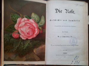 Die Rose. Geschichte und Symbolik in ethnographischer und kulturhistorischer Beziehung. Mit einem chromolithgraphierten Titelbild und sieben Figuren in […]