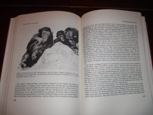 gebrauchtes Buch – Bonner, John T – Kultur-Evolution bei Tieren - Mit 52 Abb. nach Originalzeichnungen von Margaret La Farge