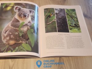 gebrauchtes Buch – Steve Parish – Steve Parish celebrating Australia`s Koala, GUT ERHALTEN