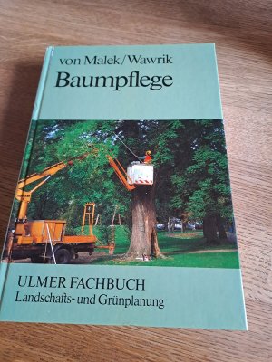 Baumpflege: Pflanzung und Pflege von Straßenbäumen