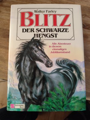 Blitz der schwarze Hengst