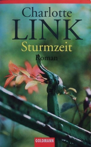 gebrauchtes Buch – Charlotte Link – Sturmzeit.: