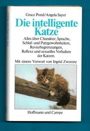 Die intelligente Katze