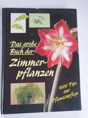 gebrauchtes Buch – Uta Steinberger – Das große Buch der Zimmerpflanzen. 1000 Tipps zur Pflanzenpflege