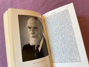 gebrauchtes Buch – Hans Scheuerl – Klassiker der Pädagogik II: Von Karl Marx bis Jean Piaget