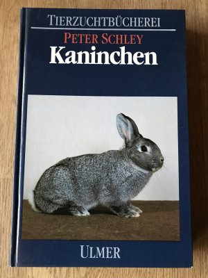 Kaninchen