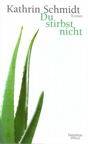 gebrauchtes Buch – Kathrin Schmidt – Du stirbst nicht